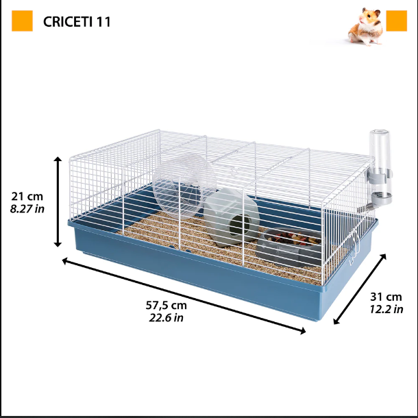 criceti-11-d0bad0bbd0b5d182d0bad0b0-d0b4d0bbd18f-d185d0bed0bcd18fd0bad0b0-575-x-31-x-h-215-d181d0bc.png